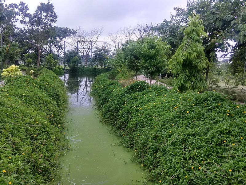 1_Ecopark-Butterfly-Garden-1