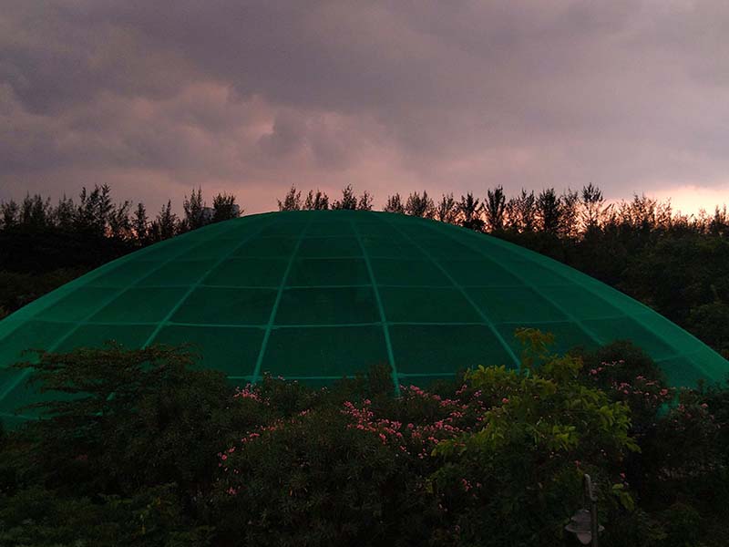 2_Ecopark-Butterfly-Garden-1