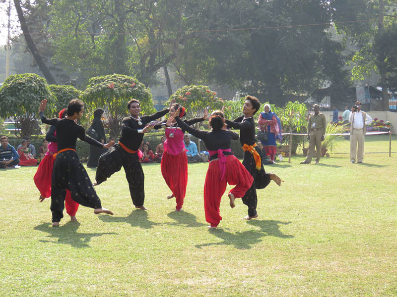 Cultural-Dance