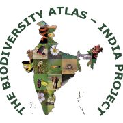 India_TransparentDarkGreen