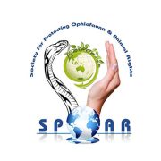 spoar